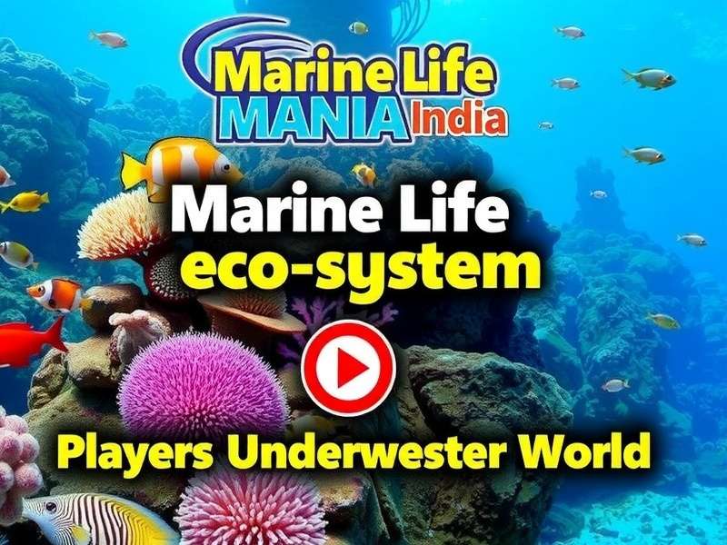 Build Your Own Marine Ecosystem in Marine Life Mania India Marine Life Mania India Ecosystem - Player-Built Underwater World