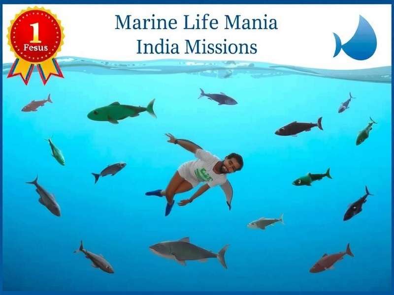Complete Festival Missions in Marine Life Mania India Marine Life Mania India Missions - Festival Special Tasks